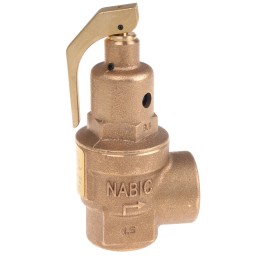 1 pcs - 8888 5bar Pressure Relief Valve With Female BSP 1 in BSP Female Connection and a BSP 1 Exhaust Port