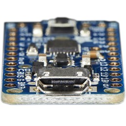 1 pcs - ADAFRUIT PRO TRINKET 5V MCU Development Board 2000