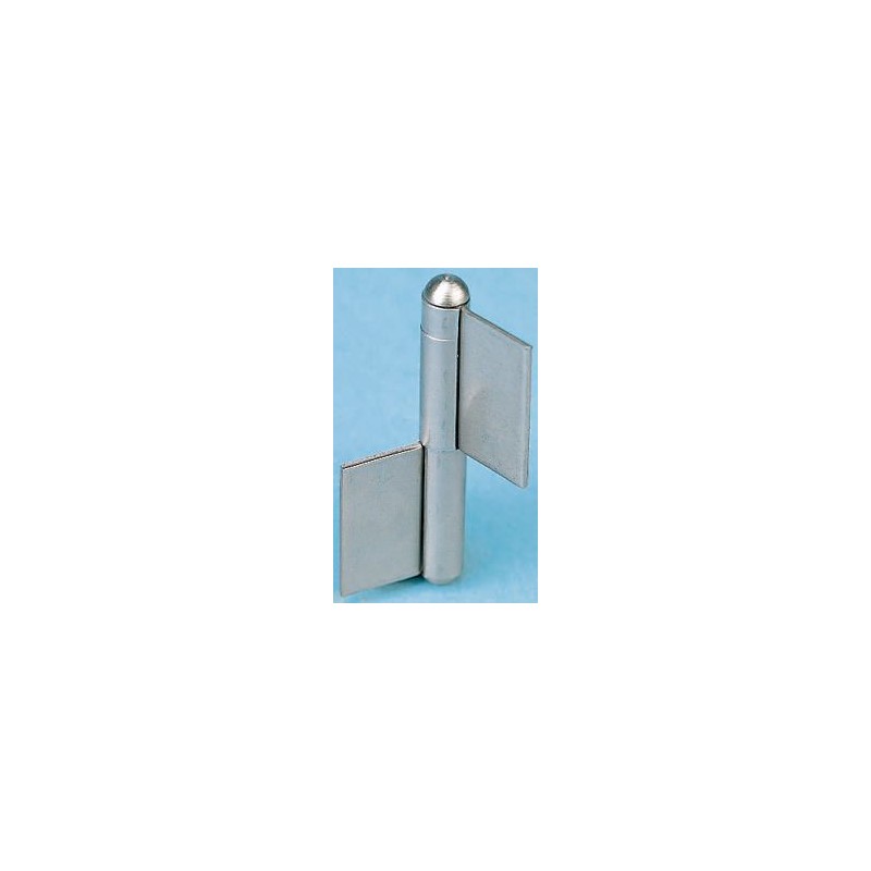 2 pcs - Pinet Steel Flag Hinge, 60mm x 40mm x 1.5mm