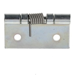 2 pcs - RS PRO Zinc Plated Steel Piano Hinge, 50mm x 50mm x 2mm