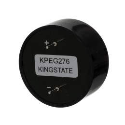 1 pcs - RS PRO 79dB Through Hole Continuous Internal Buzzer, 32 (Dia.) x 14.7mm, 3V dc Min, 28V dc Max