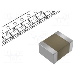 100 pcs x TDK - CGA2B2C0G1H220J050BA - Capacitor: ceramic, MLCC, 22pF, 50V, C0G (NP0), ±5%, SMD, 0402