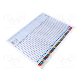 1 set x ESSELTE - 5902812221367 - File dividers numbered, Marking: 1-31