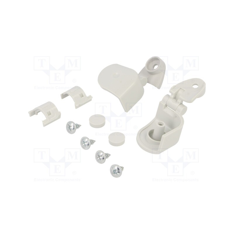 1 set x SCHNEIDER ELECTRIC - NSYAEDH20TB - Hinge, Thalassa TBP,Thalassa TBS, 2pcs.