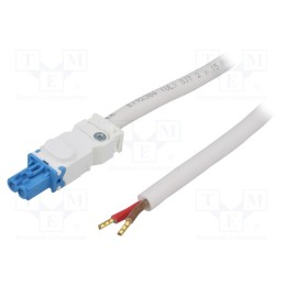 1 pcs x STEGO - 244360 - Power cable, cascade connection, 24÷48VDC, 025, female, 2m