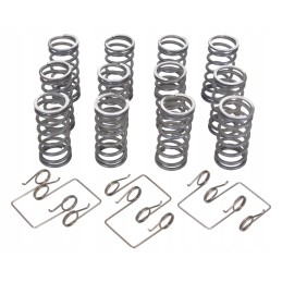 Set of original clutch springs Ursus 50511053