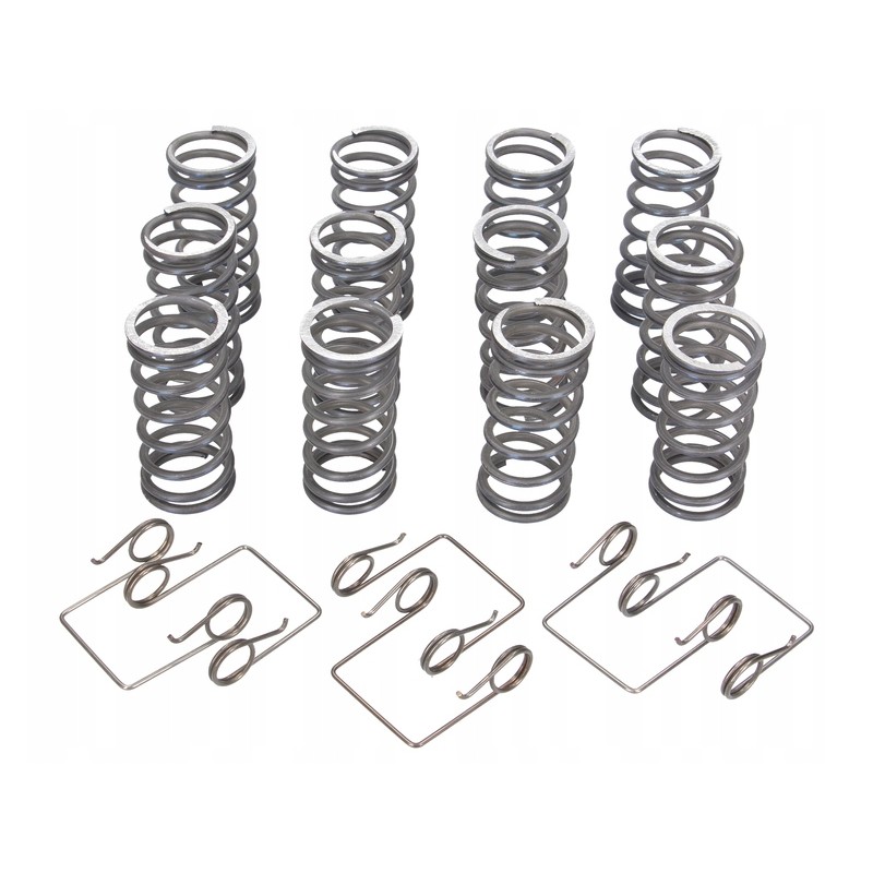 Set of original clutch springs Ursus 50511053