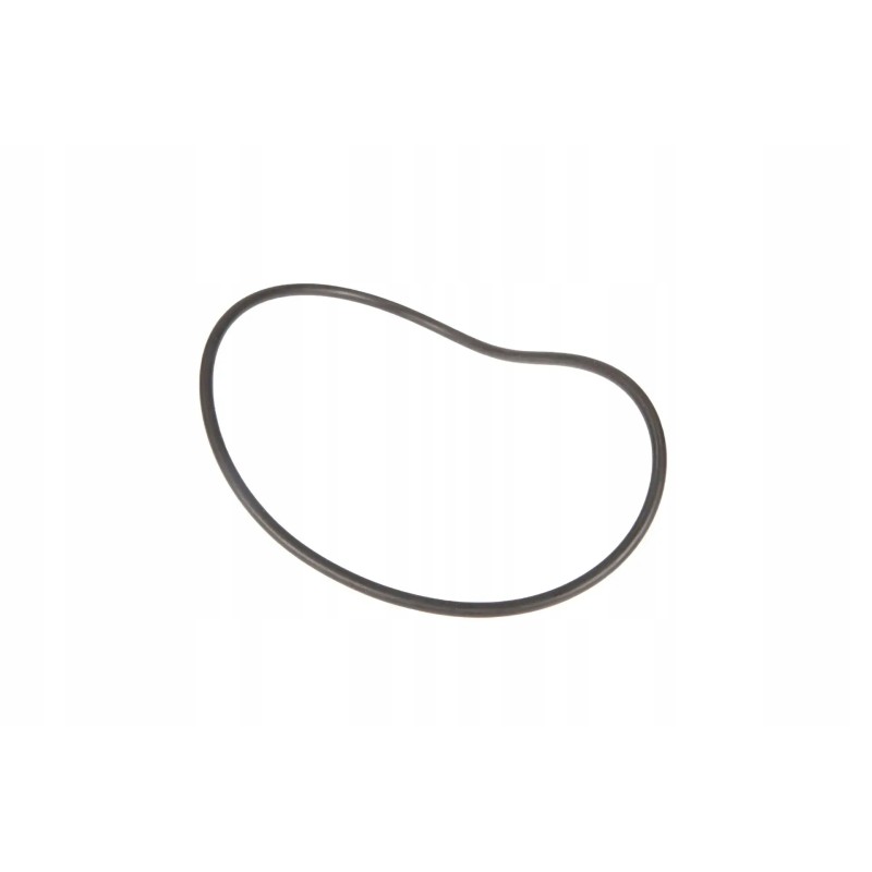 X548999066000 o-ring 118 x 4