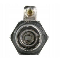 Flame candle for Zetor 53009914 aparts