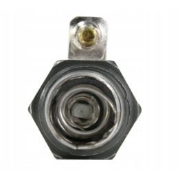 Flame candle for Zetor 53009914 aparts