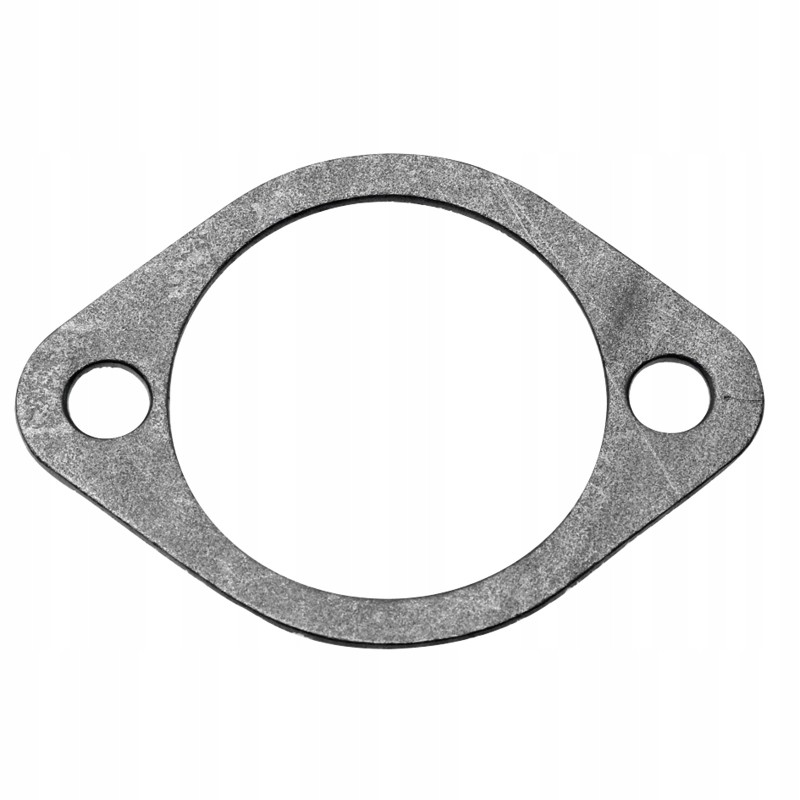 Gasket 38006724 f199201310020 granite