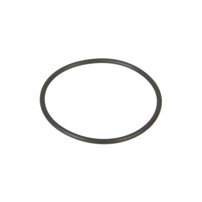 70924859 steering cylinder O-ring