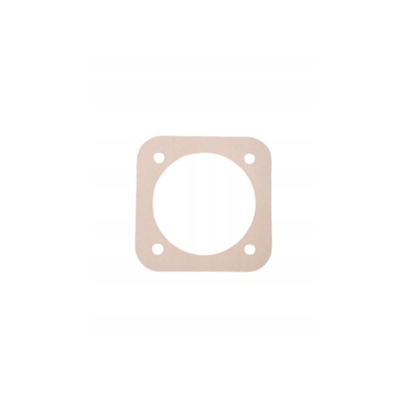 Jaguar output gear gasket 077485