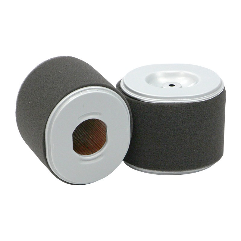 Sl3000f air filter sf filter replaces SA12000