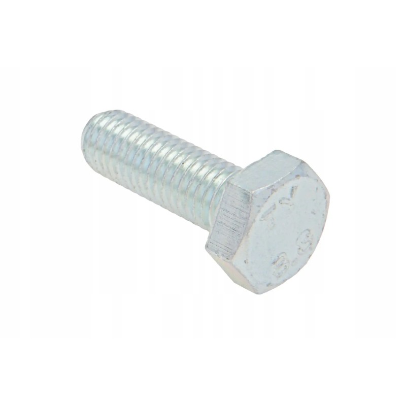 V528801810 screw with 6-point head, full thread m10 x