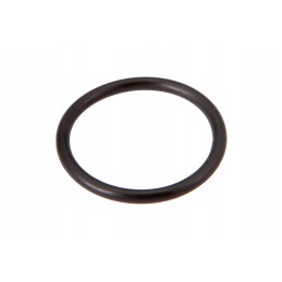 3019398x1 ring 19 4 x 2 1