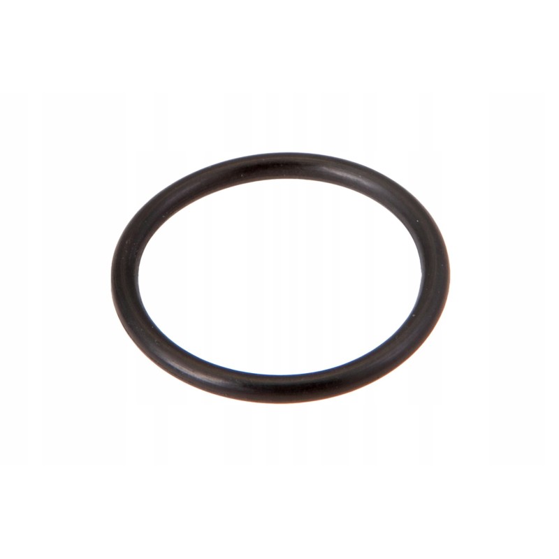 3019398x1 ring 19 4 x 2 1