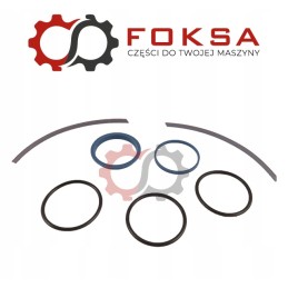 Flywheel repair kit 3900427m91