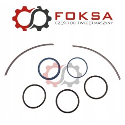 Flywheel repair kit 3900427m91