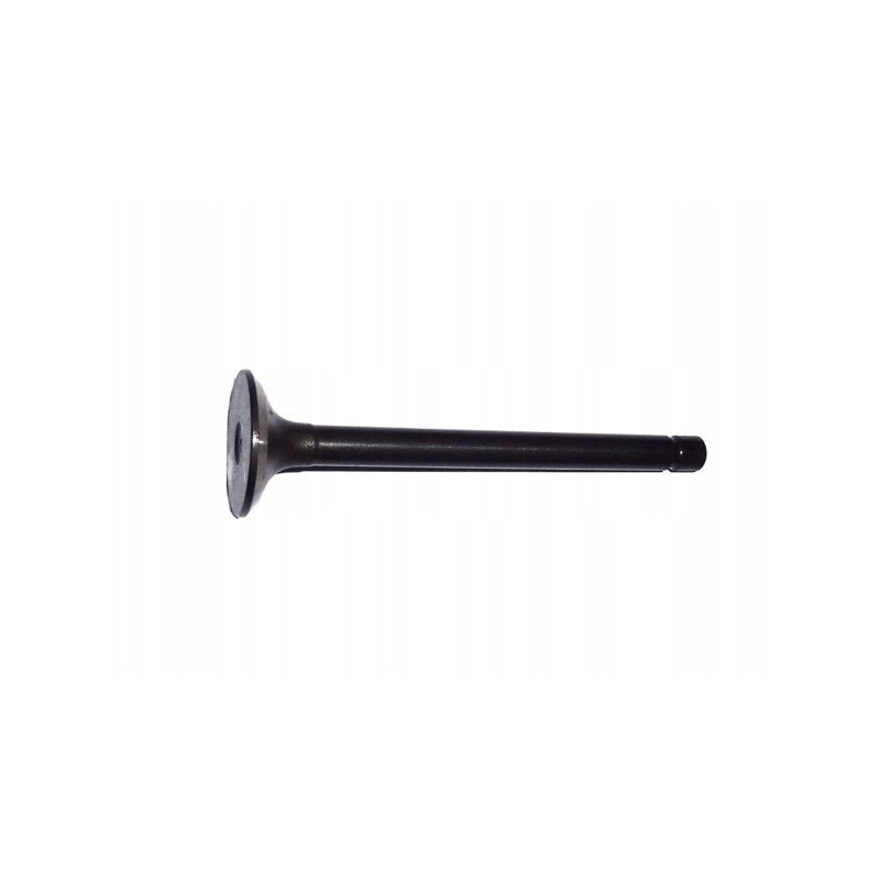 Kubota v2203 exhaust valve