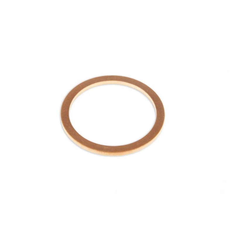 X540006678000 copper washer a22 x 27