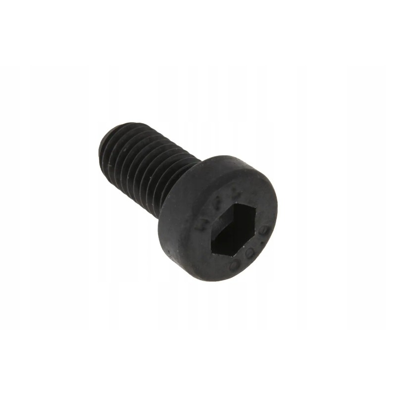 X496029700000 Allen screw full thread M10 x 20