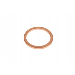 X540004678000 copper washer 16 x 20