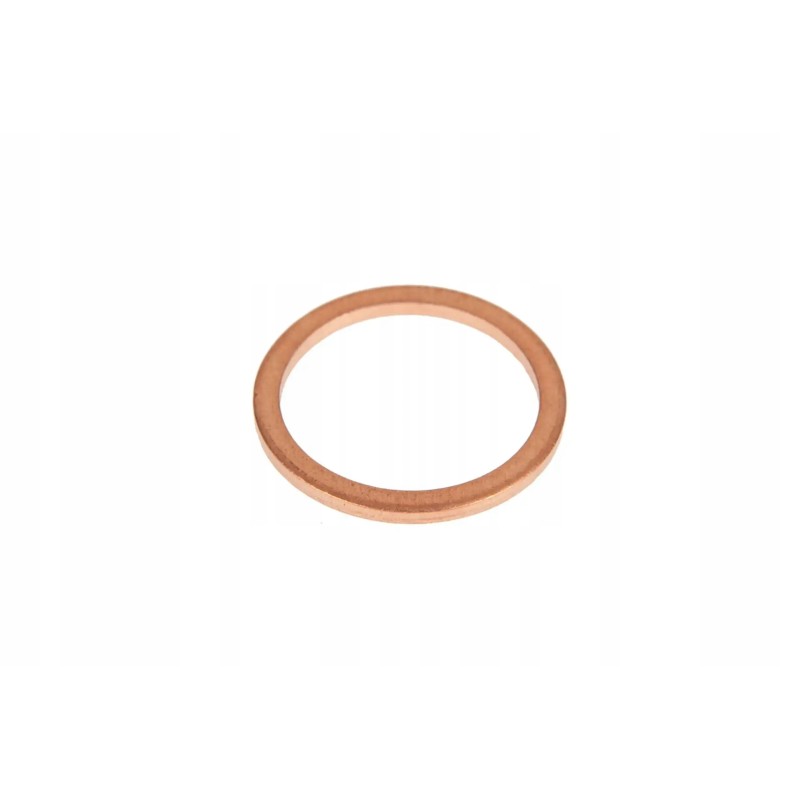 X540004678000 copper washer 16 x 20