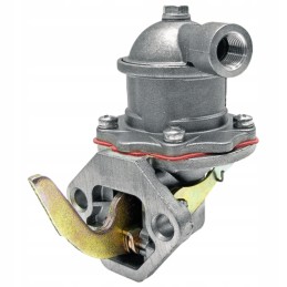 Diaphragm pump feeding granite