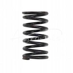 Internal valve spring 80005012 c 385 sold