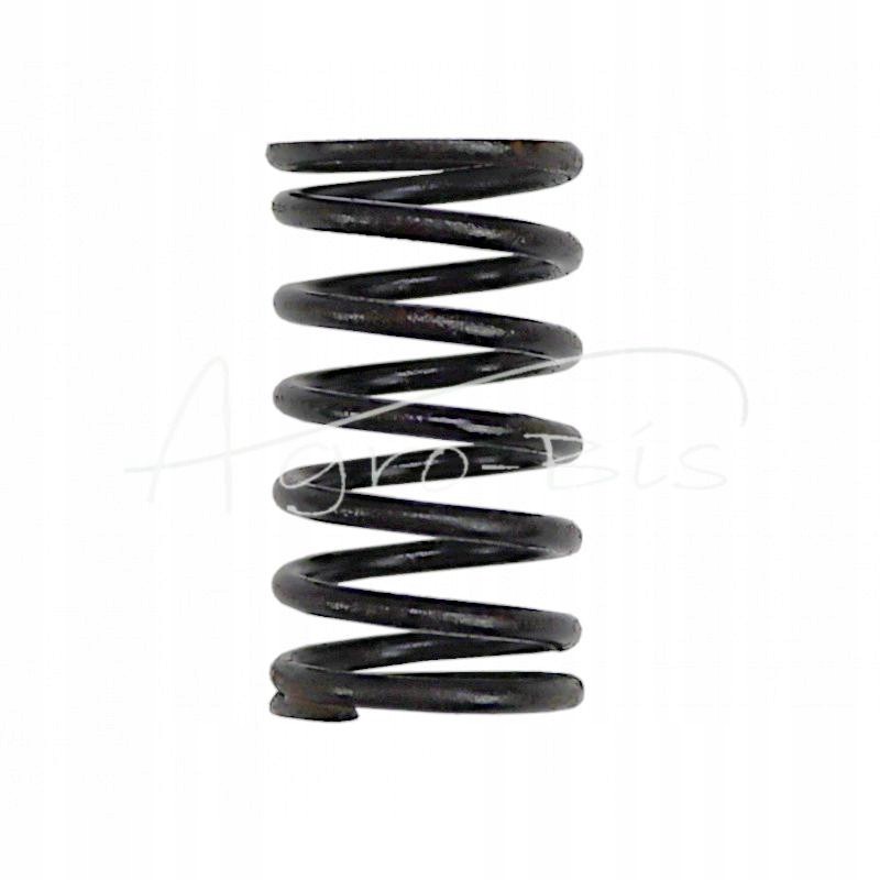 Internal valve spring 80005012 c 385 sold