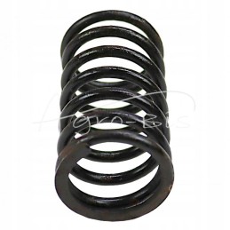 Internal valve spring 80005012 c 385 sold