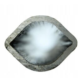 External lemon pipe 30x39 3mm length 100cm x