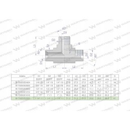 Hydraulic tee inch bbb 1 1 4 bsp x
