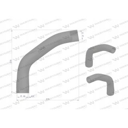 Upper radiator hose 84496c1 Warynski