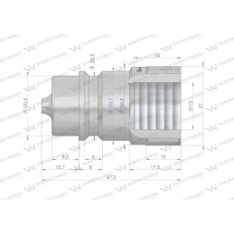 Hydraulic quick connector plug g1 2 bsp thread