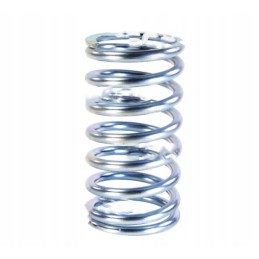 Clutch spring 80021087 domestic product