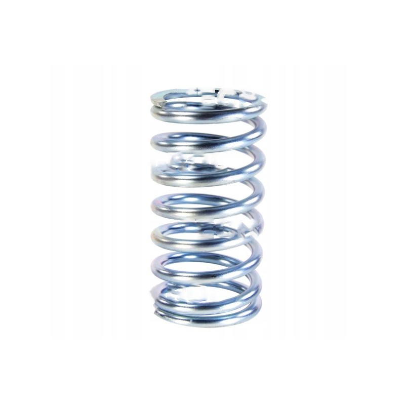 Clutch spring 80021087 domestic product