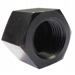 Nut C 385 Archimedes 89413174