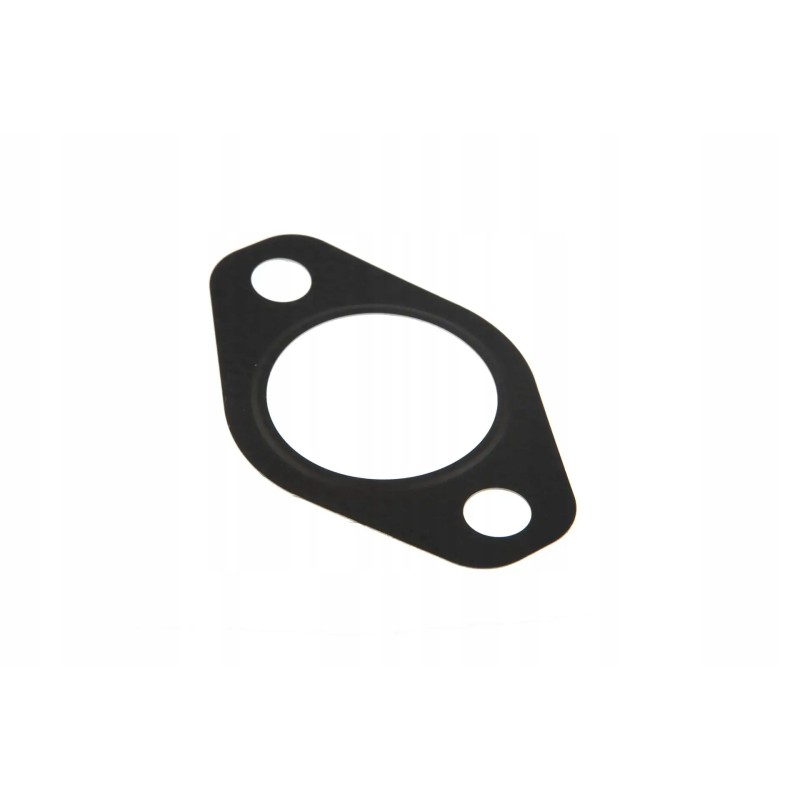 F119200100080 exhaust manifold gasket