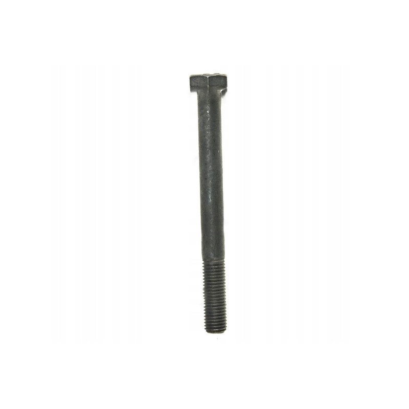 Oil pan screw 0096241 domestic product