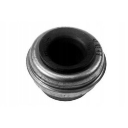 Water pump repair kit