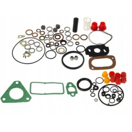 Massey Ferguson injection pump repair kit
