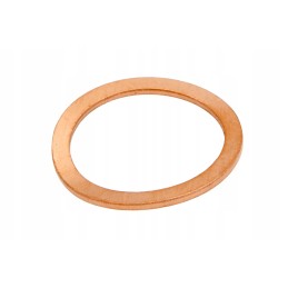 F934201210130 sealing washer m22x28x1 2