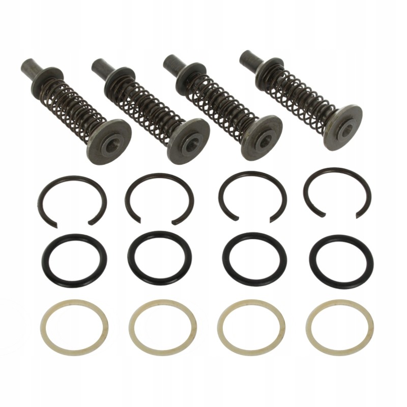 Set of valves for the mf3 hydraulic pump, 4 valves