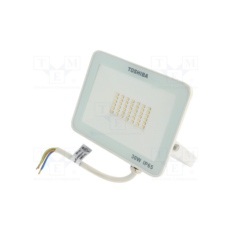 1 pcs x TOSHIBA LED LIGHTING - DELL-FL44030C5A021 - Lamp: LED flood light, 230VAC, 30W, neutral white, 120°, 4000K