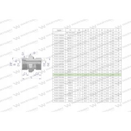 Hydraulic connection bb xge m22x1 5 15l x 3 4