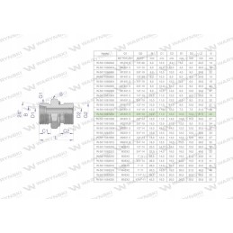 Hydraulic connection bb xge m18x1 5 12l x 3 8