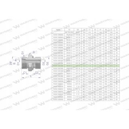 Hydraulic connection bb xge m18x1 5 12l x 1 2