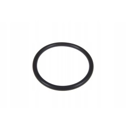 X548885102000 sealing ring 29 1 x 2 55